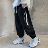 Демисезонные штаны для мальчиков, бархатные детские зимние осенние леггинсы, коллекция 2023, увеличенная толщина