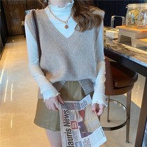 Vest Womens autumn and winter New wear fashion v-collar loose knitted outer sleeveless thick sweater vest pony tide