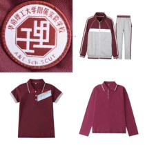 (School emblem spot)South China University of Technology affiliated experimental School School emblem School uniform spot Huagong Attached Primary School