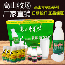 It is all produced alpine green grass milk drink no pollution-free pasture to raise low-fat lactic acid lactic lactic acid lactic acid milk whole tank milk