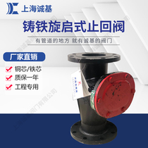 Cast iron fire vertical sewage pipe swing check valve Automatic flange check valve for water pump H44T
