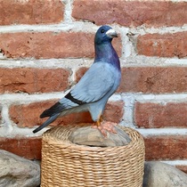 Solid wood hand engraving auspicious and peaceful pigeon pendulum pieces gift modern minimalist creative small pieces gift customizable