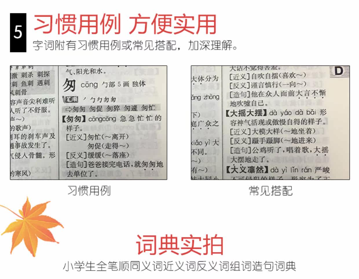 词语词典多全功能工具书大全新版新华