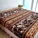 Plush tấm trượt che giường một mảnh sinh viên flannel phim hoạt hình mùa thu và mùa đông bông thảm đôi đơn thực hiện để đặt - Khăn trải giường bộ drap giường 1m6