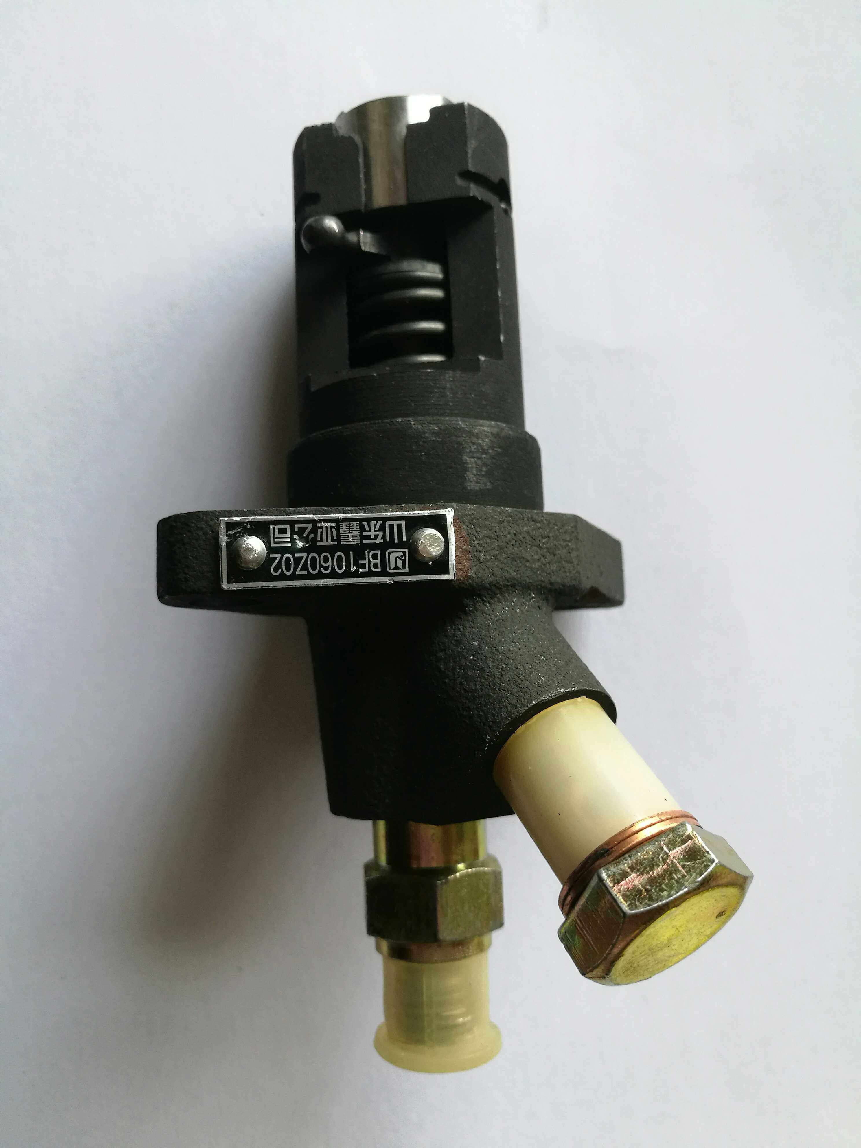 Common hair Changfu CF176 R176 oil pump assembly (BF1060Z02)