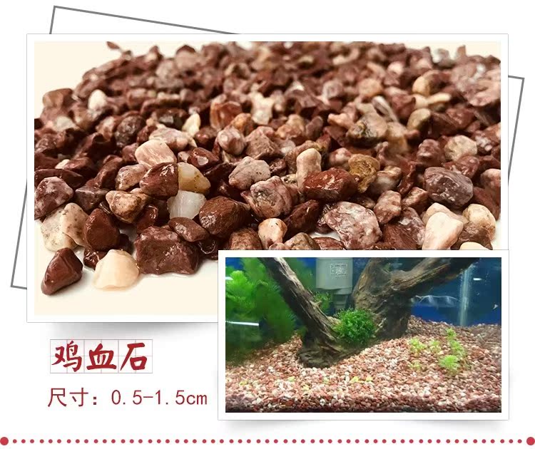 Bể cát đáy cảnh quan cát đá tự nhiên cát trắng hồ cá đá cuội trang trí đá cuội nhỏ màu đá lược chải lông cho chó