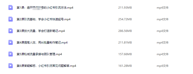 图片[2] - 小红书矩阵引流实战玩法：从0到1，新手也能日引300+ - 忙狐网
