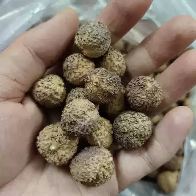 Spring Amomum and dried fruit authentic Yangchun Chunchun Amomum, Guangdong Province Yangchun specialty spring Amomum villosum 50 grams buy 3 get 1