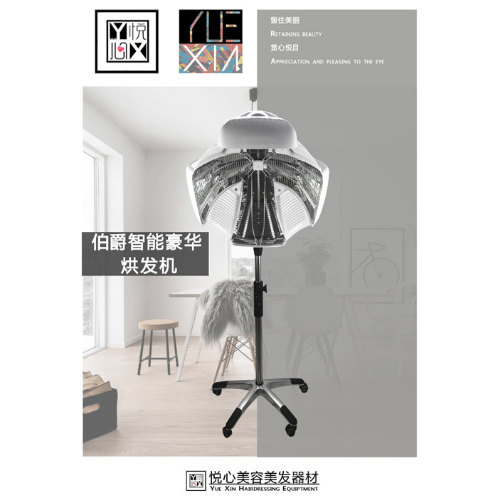 Hot ironing machine hair heating dryer count intelligent computer version hair dryer hair styling care