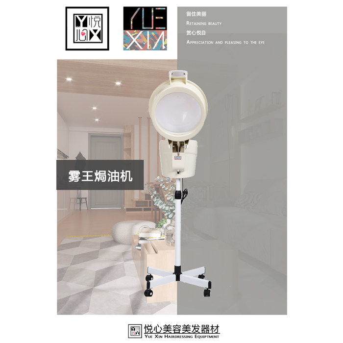 Lexi shop Oiler hair Steam Machine hair care Bureau oil Machine home hair salon hair evaporator