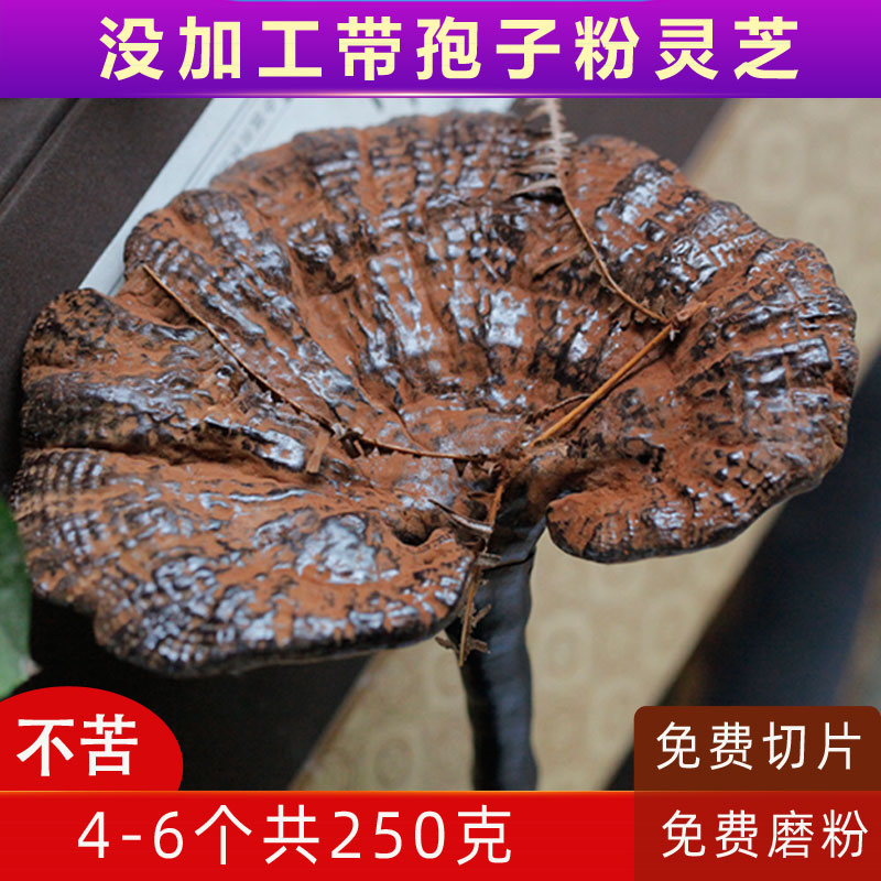 Gangzhi wild Yunnan mountains without bitter spores pink pink Linzhi half wild Zizhi 250 g