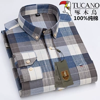 Дятел C505 Pure Chotct