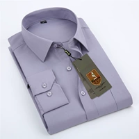 Светлый серый 087 (прямая версия)