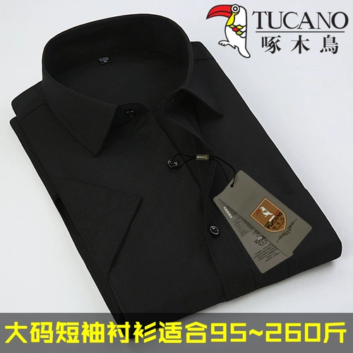 Летняя большая белая рубашка, короткий рукав, большой размер