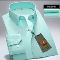 G2652 зеленые косое длинные рукава