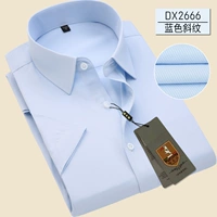 DX2666 Синий косой короткий рукав имеет карманы