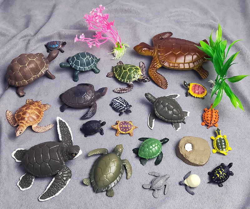 Игрушки-животные 仿真海龟模型玩具陆龟巴西龟海洋生动物道具儿童玩具早教乌龟摆件
