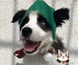 Красная шапочка, демисезонная удерживающая тепло милая бейсболка, праздничнный аксессуар для волос