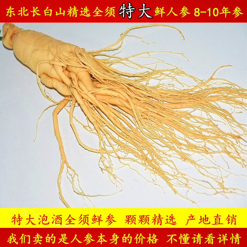 Zhengzong Changbai Mountain Mountain ginseng 8-10 years Mao Heavy 500 gr Extra-large insured fresh forest under the whole single branch