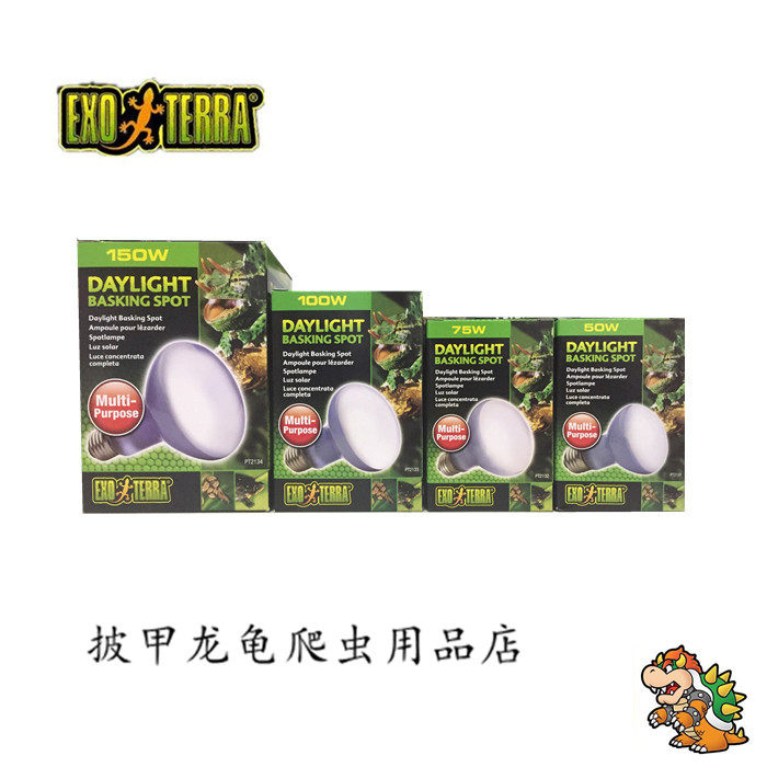 Hagen Xijin Turtle Creep UVA Heating Light Soft Flood Light 50w75w100w150w