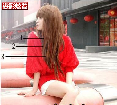 Perruque Long cheveux raides - Ref 2610289 Image 13