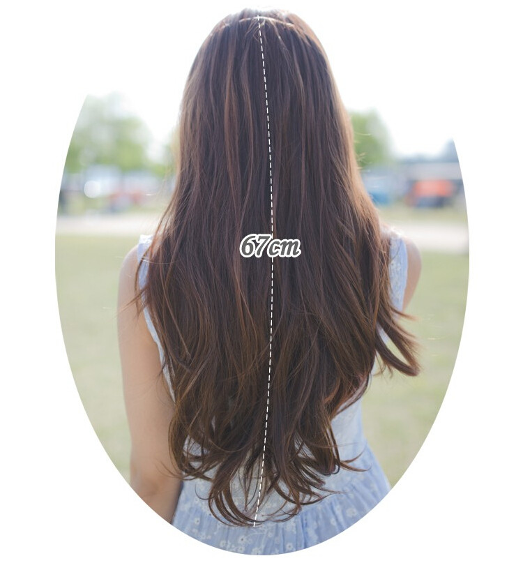 Perruque OTHER   Les cheveux longs - Ref 2613599 Image 22