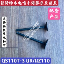 Jinan Suzuki Lego to UR110T valve Li to UZ110T valve small dolphin QS110T-3 valve oil seal