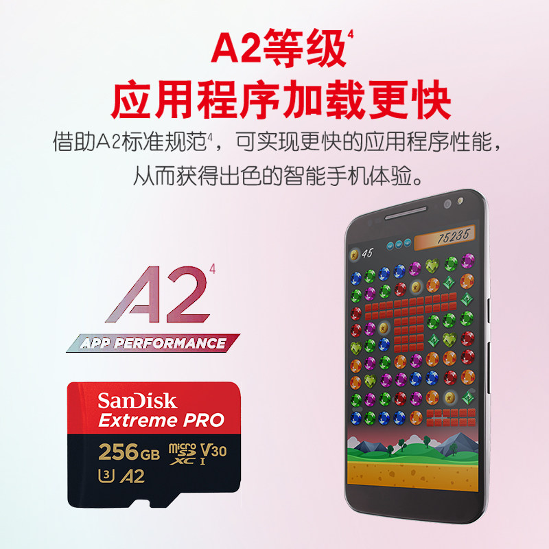 Sandisk 256g Memory Card 512g Dji Action4/5Pro Memory Card Sd Card Pocket3 Flash Memory Tf Card