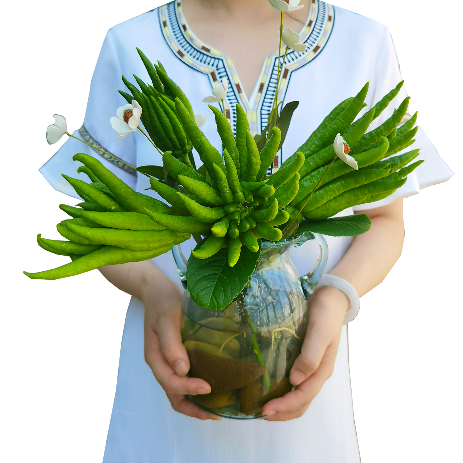 Hydroponic hydroponic with branch bergamot ornamental clear for flower arrangement smell fragrant bergamot bergamot fresh Jinhua bergamot fresh fruit