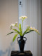 [Shining Light]Lily of the Valley Artificial Floral Arrangement for Living Room Table Decoration, High-End Realistic Vintage Ceramic Vase