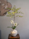 Haihong Scenery Simulated Green Plant Landscaping High-End Realistic Fake Plant Living Room Dining Table Tv Cabinet Nandina Bamboo Ornaments