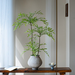 Nantian Bamboo Artificial Green Plant with a High-End Feel, New Song-Style Tea Room Decoration Bamboo, Tea Room Entrance Ornament, Bonsai Ceramic