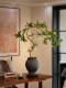 Artificial Bonsai Tree with Water Stone, Realistic Green Plant, High-End Faux Flower Decoration for Tea Table, Vintage Sofa, Living Room Decor