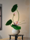 Artificial Lotus Flower Potted Plant with a High-End, Realistic Feel, Suitable for Entryway, Tea Room, Song Dynasty Aesthetic Decoration, Wabi-Sabi Style for Living and Dining Rooms