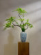 Nantian Bamboo Artificial Green Plant, High-End Traditional Chinese Style, New Chinese Style Tea Room Decoration, Bamboo Tabletop Entrance Hall Ornament, Bonsai