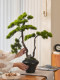 Pine Tree Bonsai Artificial Green Plant Ornament, High-End Realistic Chinese-Style Entrance Hall Tea Room Light Luxury Decoration, Song Dynasty Aesthetics