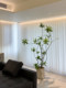Haohongjingpin Lily Bamboo Artificial Green Plant Indoor Living Room Simulated Tree High-End Light Luxury Flower Large Floor-Standing Potted Plant