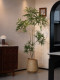Peacock Wood Fortune Tree Artificial Green Plant Decoration for Living and Dining Room, Large Fake Floor-Standing Potted Plant, High-End Vintage Atmosphere