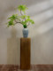 Nantian Bamboo Artificial Green Plant, High-End Traditional Chinese Style, New Chinese Style Tea Room Decoration, Bamboo Tabletop Entrance Hall Ornament, Bonsai