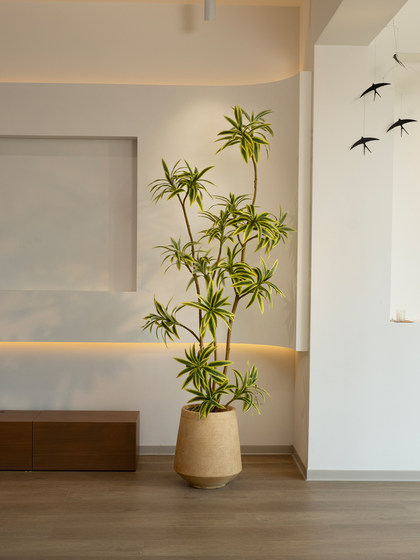 High-End Luxury Artificial Green Plant, Large Fake Tree Potted Decoration for Indoor Living Room, Featuring Golden-Edged Lily Bamboo
