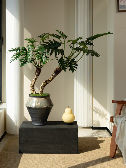 Dragon Scale Angel Artificial Green Plant, High-End Light Luxury Living Room Indoor Artificial Flower, Spring Feather Tea Room Atmosphere Vintage Decoration
