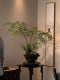 Faux Fern Potted Plant, Artificial Flowers, New Chinese-Style Tea Room Decoration, Zen-Inspired Entrance Decoration, Small Size