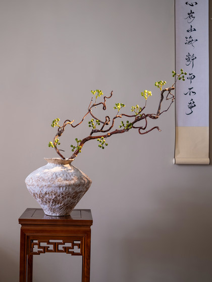 Simulated Green Plants with a High-End Feel, Realistic Wabi-Sabi Style Ornaments for Chinese-Style Dining Tables and Tv Cabinets