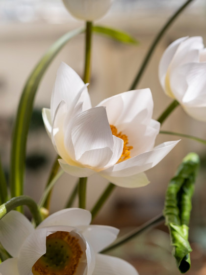 Haohong Jingpin Lotus Artificial Flower Arrangement, Light Luxury High-End Song Dynasty Aesthetics, Entrance Hall, Living Room, Dining Table Decoration