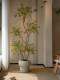 High-End Colorful Nandina Large Floor-Standing Artificial Green Plant for Indoor Living Room, Dining Room, Tea Room, Faux Tree Landscaping, Vintage Style