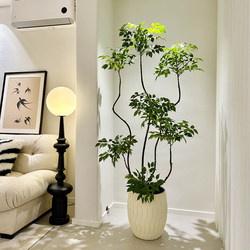 Haohong Jingpin Happiness Tree Artificial Green Plant, High-End Light Luxury Indoor Living Room Bionic Large Potted Plant, Floor-Standing Fake Plant