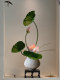 Lotus Bonsai Artificial Flowers with a High-End, Realistic Feel, Suitable for Entrance Halls, Tea Rooms, Song Dynasty Aesthetics, New Chinese Style Desktop Decoration Ornaments