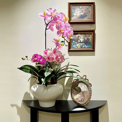 High-Quality Artificial Phalaenopsis Orchid with a Wet Look, Potted Plant Decoration, Faux Floral Arrangement, Light Luxury for the Living Room