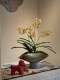 Artificial Orchid Bonsai Fake Decoration, Light Luxury High-End Entrance Hall Tea Room Ornament, Antique Style Song Dynasty Aesthetic Decoration for Tabletop