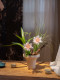 Haohongjingpin Orchid Bonsai Artificial Flower Decoration High-End Realistic Cream Style Living Room Dining Table Decoration